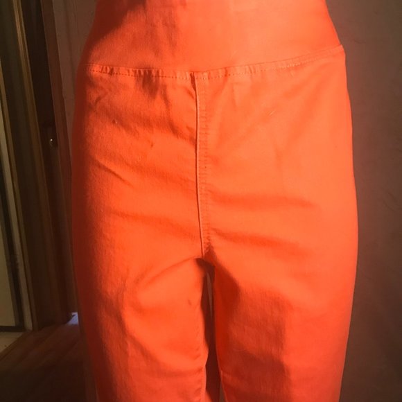 DG By Diane Gilman  Orange Stretch Pants XL - Picture 7 of 8